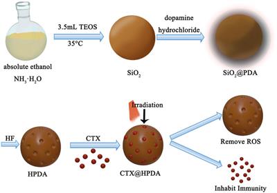 Hollow-polydopamine-nanocarrier-based near-infrared-light/pH-responsive drug delivery system for diffuse alveolar hemorrhage treatment